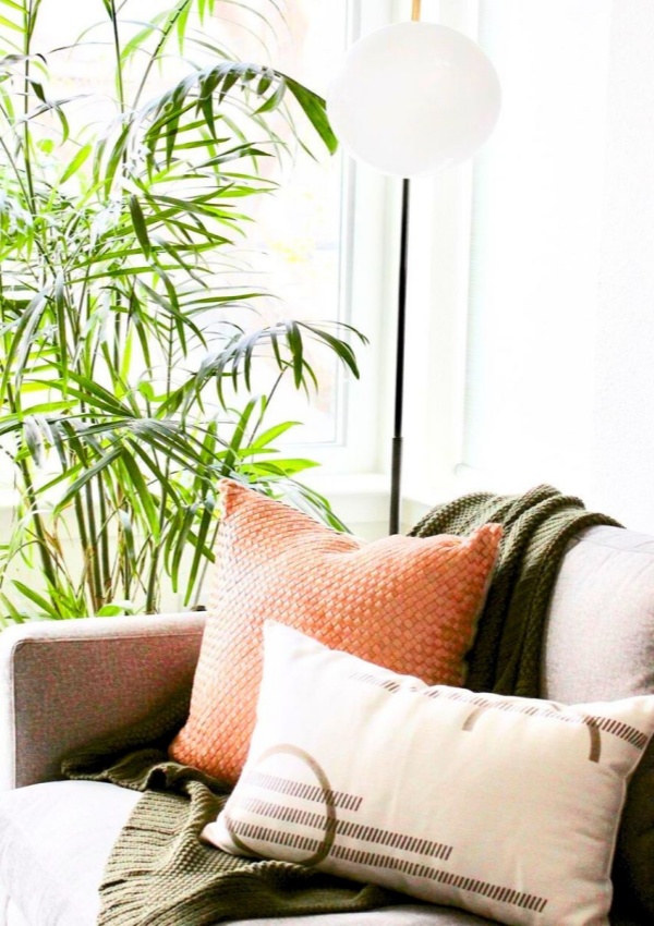How to Choose the Perfect Nordic Style Green Plant Decor for Your Space